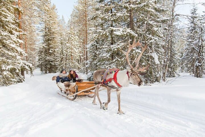Arctic Reindeer Sleigh!