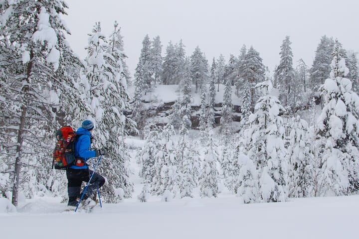 Small-Group Snowshoeing Adventure In Lapland