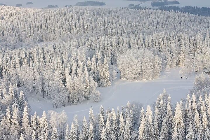 Winter Quad Bike Ride in the Arctic Circle from Rovaniemi