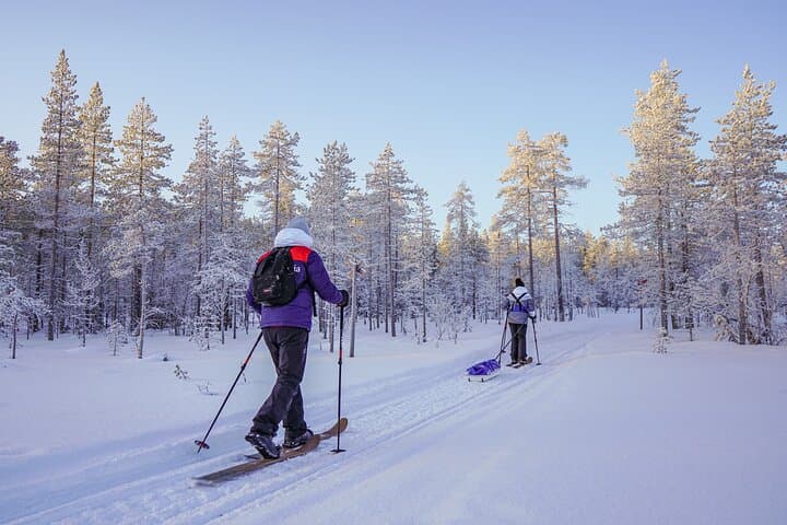 First Arctic Expedition on Altai Skis