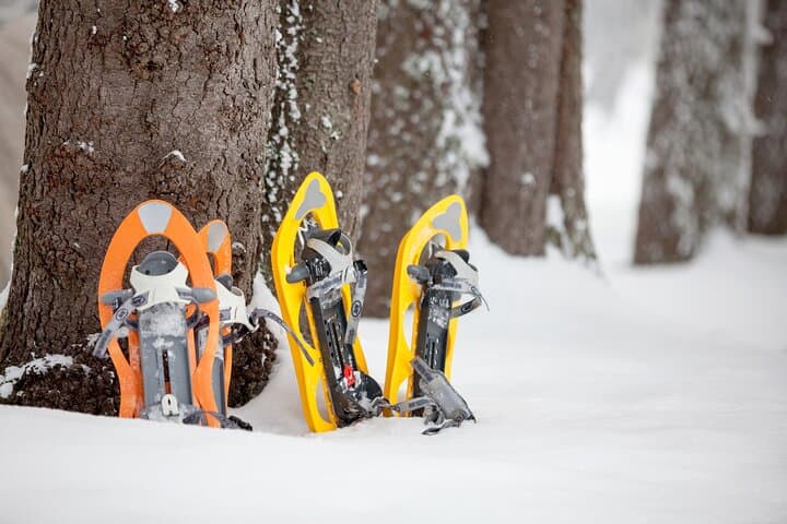 Snowshoeing in Levi