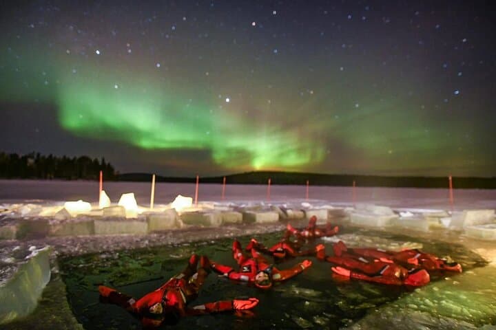 Ice Floating in Forest Lake with Aurora Borealis