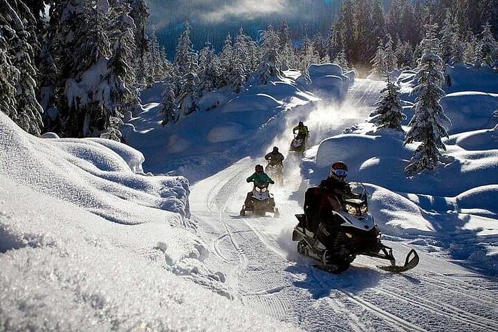 Full Day Snowmobile Safari