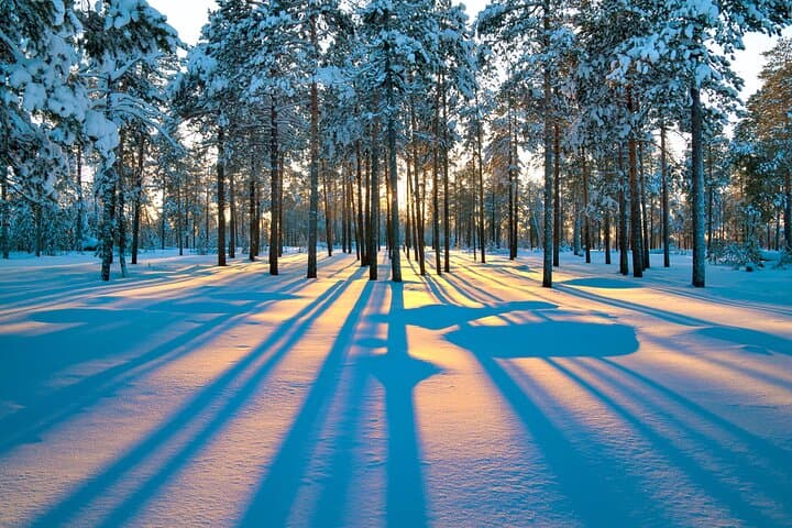 Snowmobile Safari 2h