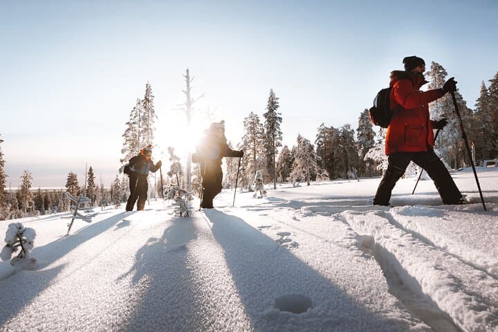 Ski Trekking Safari in Lapland