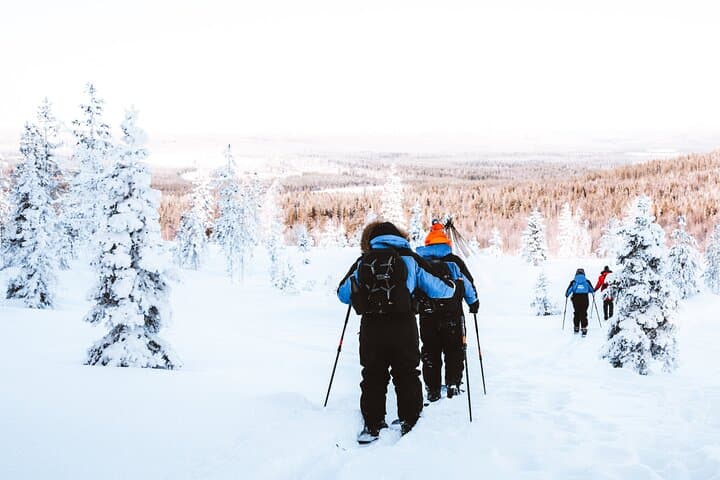 Ski Trekking Safari in Lapland