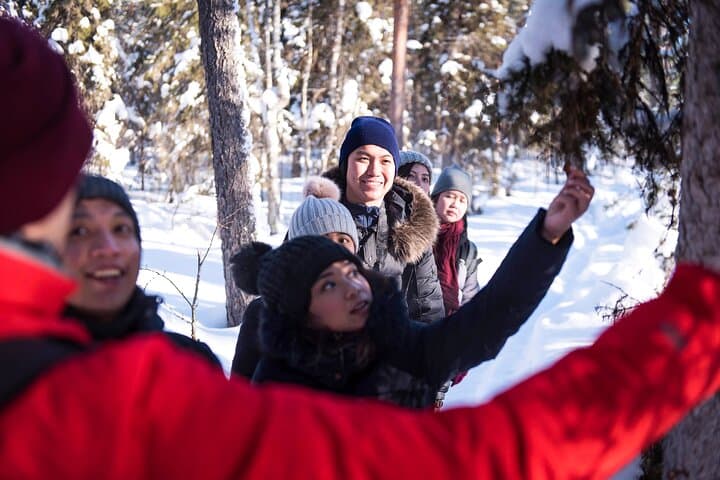 Teaching about Arctic nature