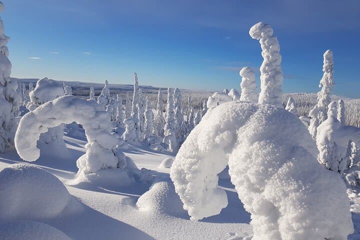 Snowshoe Adventure in the Fells of Kuusamo