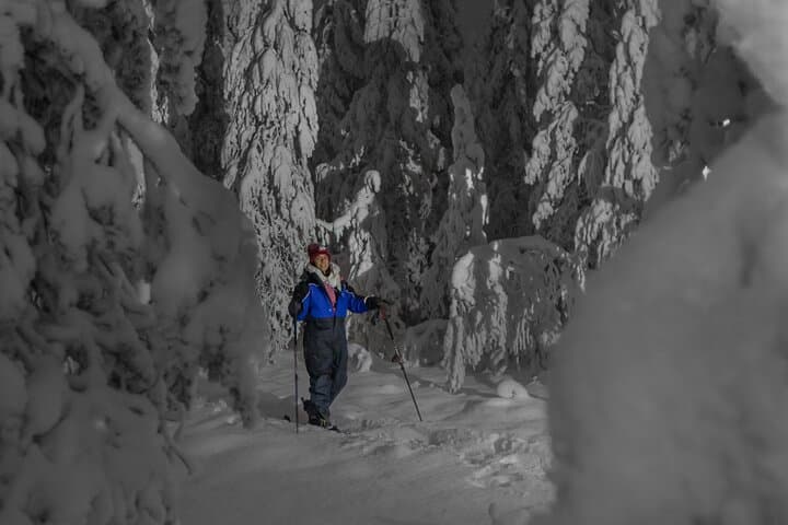 Ski Trekking by Night: Private Experience from Rovaniemi