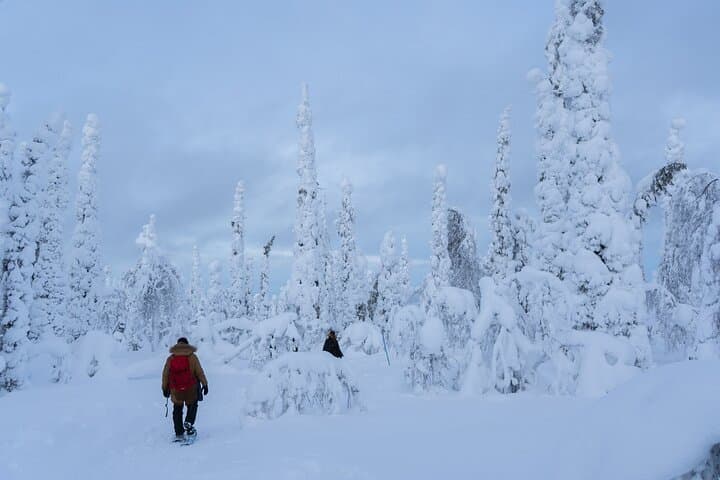 Full-Day Snowshoeing Adventure in Amethyst from Rovaniemi