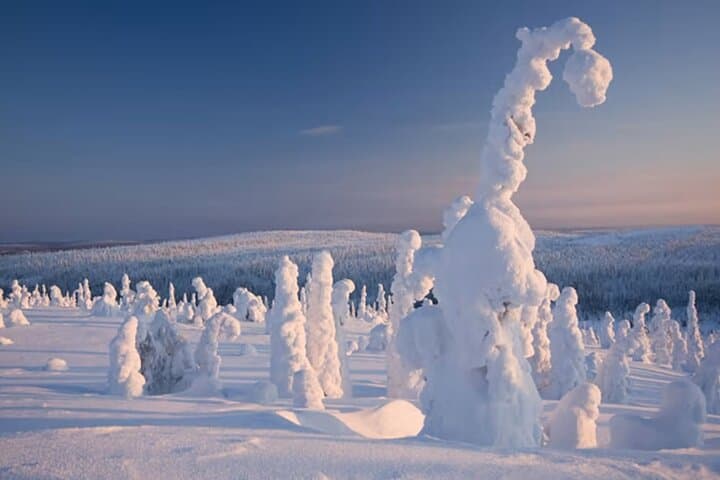 Riisitunturi National Park hike