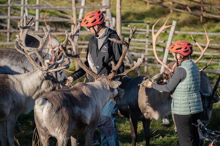 Electric Fatbike Trip to the Reindeer Farm