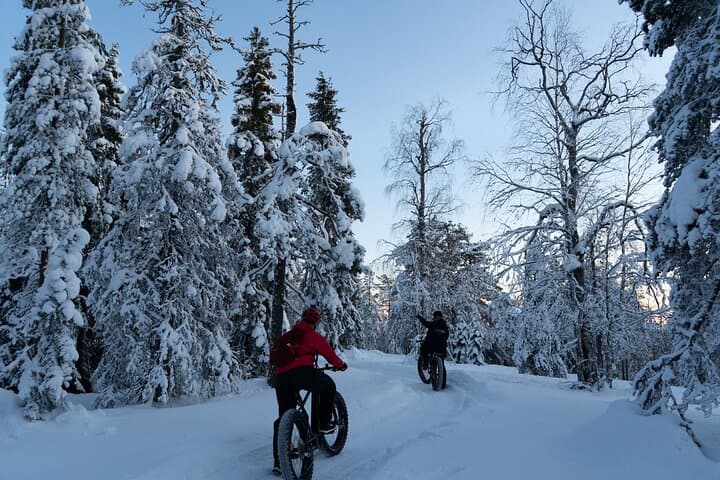 Private Electric Fatbike Tour in Winter from Rovaniemi