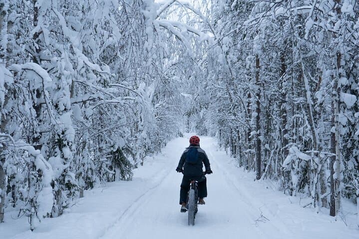 Private Electric Fatbike Tour in Winter from Rovaniemi