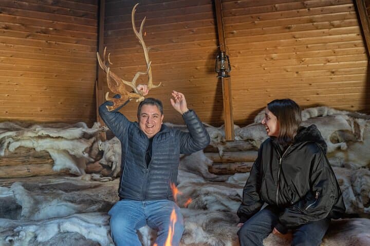 Reindeer Farm Experience in Summer and Autumn from Rovaniemi