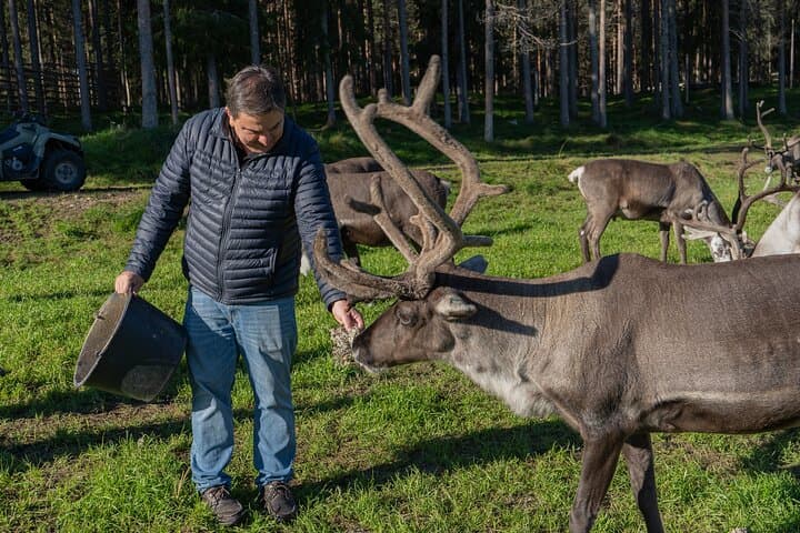 Reindeer Farm Experience in Summer and Autumn from Rovaniemi