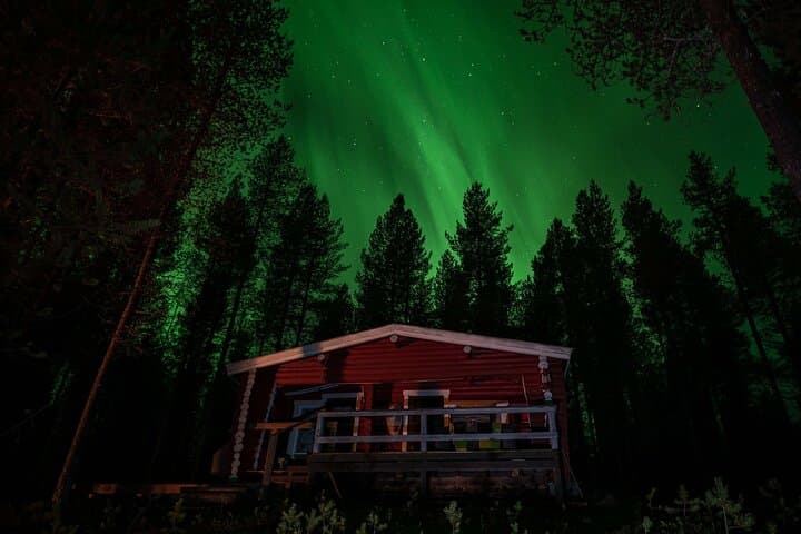 Private Wilderness Sauna & Reindeer Farm Visit from Rovaniemi