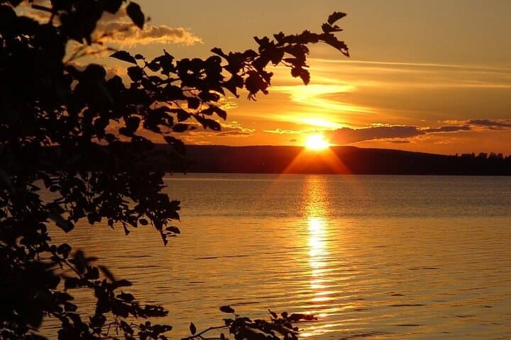 Private Wilderness Sauna Evening in Summer & Autumn (Rovaniemi)