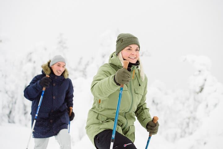 Scenic Snowshoeing on the Top of Pyhä Fell
