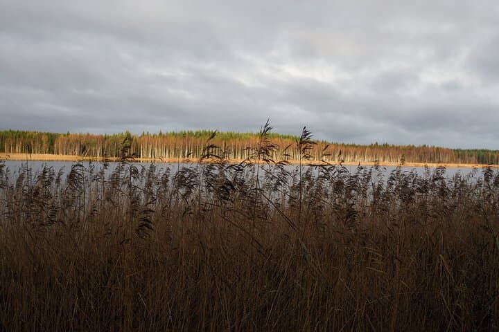 Private Excursion to Sculpture Park and Museum with Scenic Drive