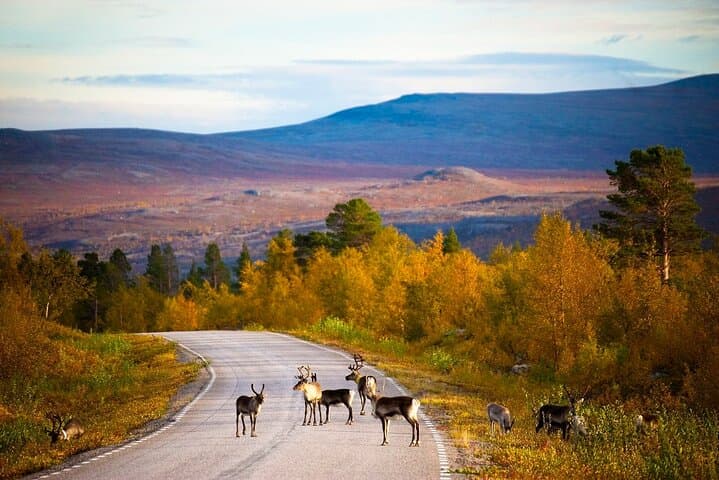 Day in the Tundra, Visiting UKK National Park