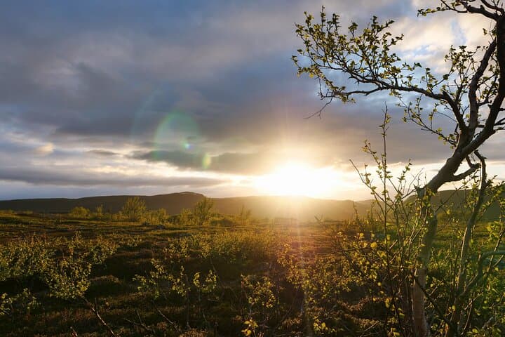 Wilderness Hike in the Tundra