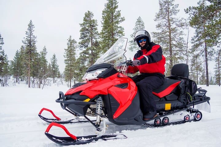Easy Snowmobile Safari