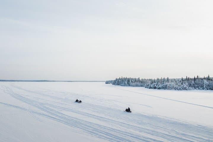 Two hours Snowmobile Safari Driving into Lappish Forests