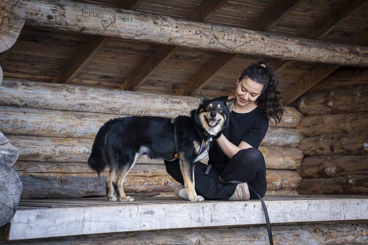 Arctic Hiking with Lappish Dogs