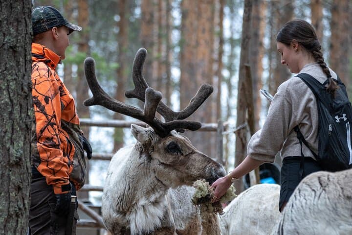 Private Wilderness Sauna & Reindeer Farm Visit from Rovaniemi
