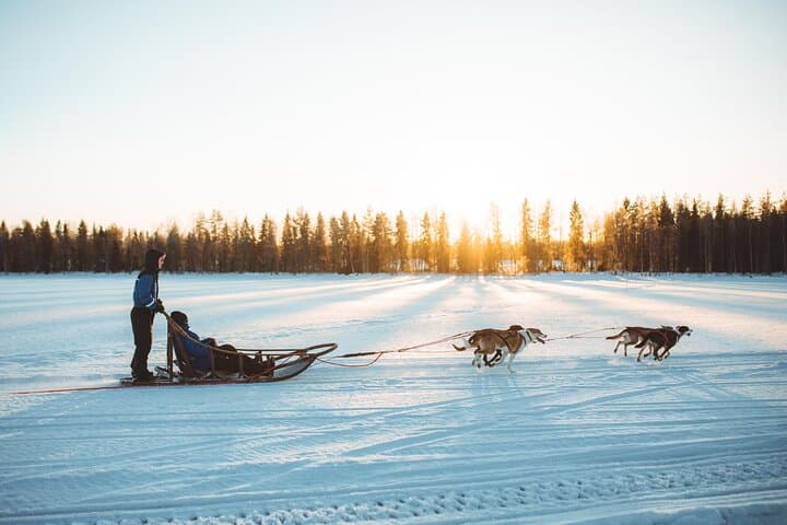 6km Apukka Husky Adventure in Rovaniemi