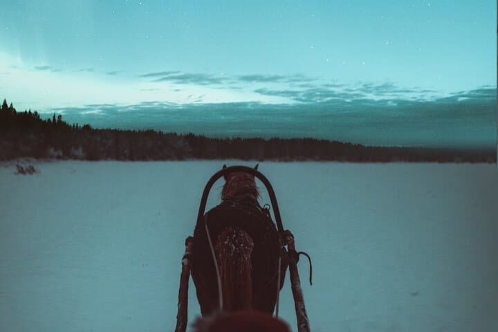 Horse Sleigh Ride Under The Night Sky in Apukka Resort, Rovaniemi