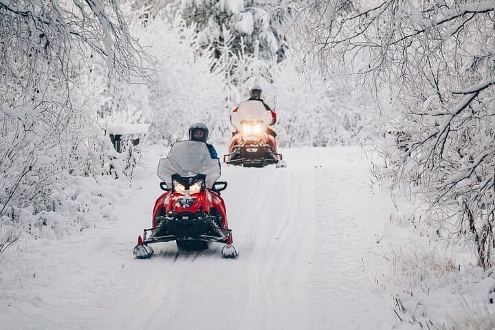 Adventurer's Snowmobile Tour in Rovaniemi, 4 hours