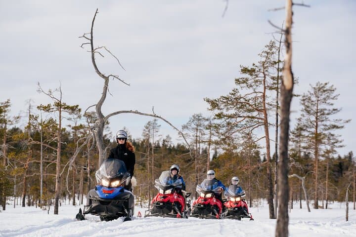 Adventurer's Snowmobile Tour in Rovaniemi, 4 hours