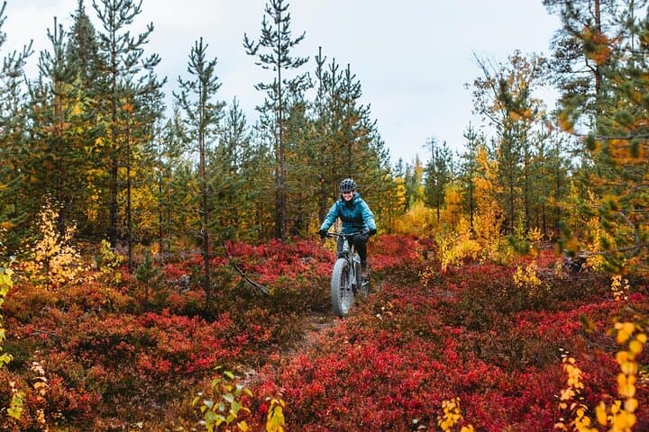 Exploring Nature with eFatbike in Rovaniemi, 3 hours