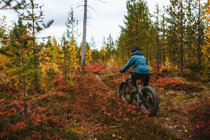 Exploring Nature with eFatbike in Rovaniemi, 3 hours