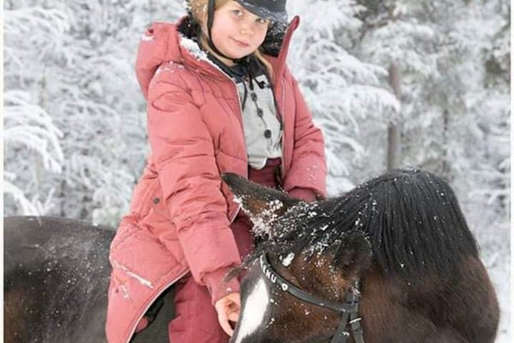 Riding Tour with Finnhorses at Santa Claus Village