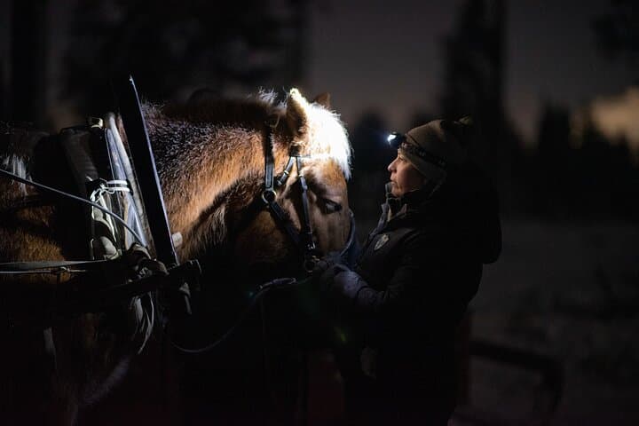 Traditional Finnhorse Sleigh Ride at SCV (30 min)