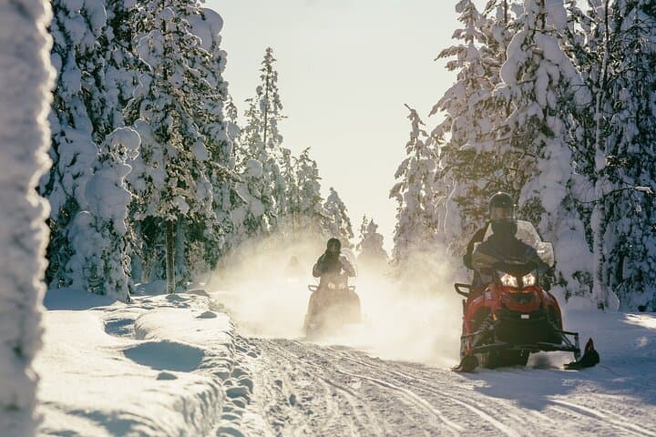 Driving in the forest