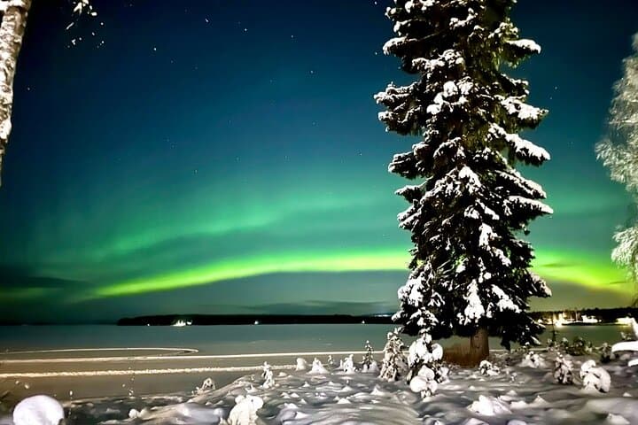 Northern Lights Tour At The Campfire