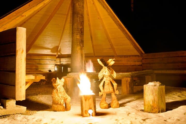 Northern Lights Tour in Atmospheric Cottage
