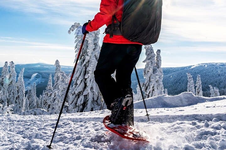 Snowshoeing Tour in the Kuoksa Wilderness