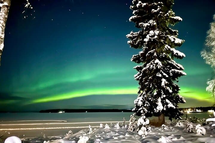 Northern Lights Tour Snowmobile Driving