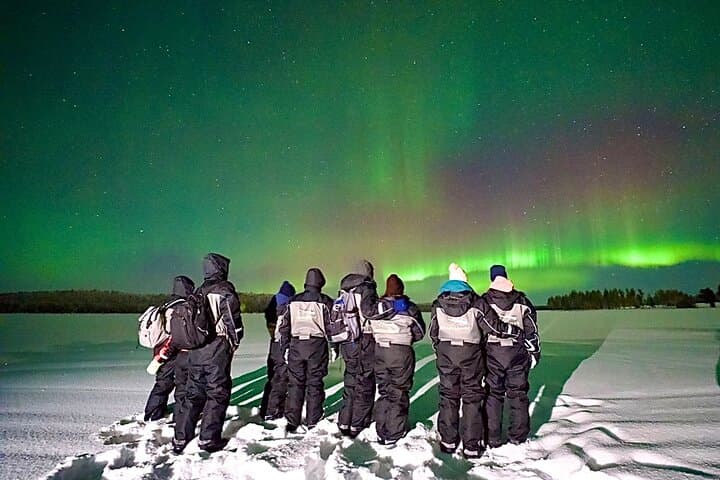 Northern Lights Tour Snowmobile Driving