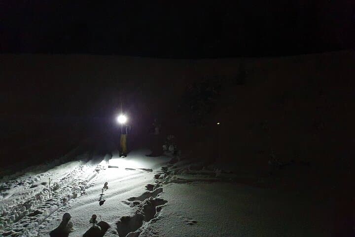 Nocturnal Skiing: Experience the Arctic's Magic