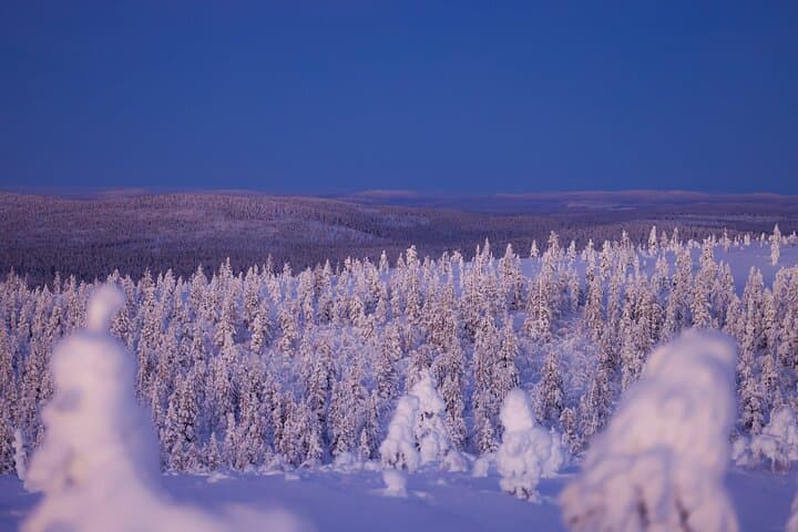 Private Snowshoe or Ski Adventure in Lapland from Rovaniemi