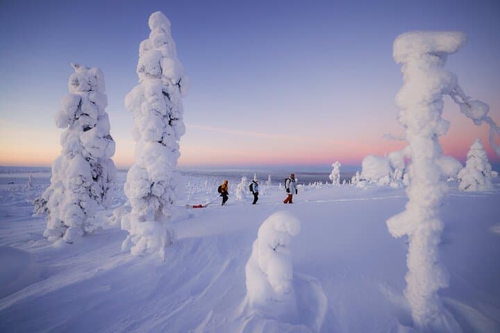 Private Snowshoe or Ski Adventure in Lapland from Rovaniemi