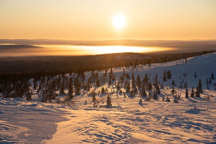 Private Snowshoe or Ski Adventure in Lapland from Rovaniemi