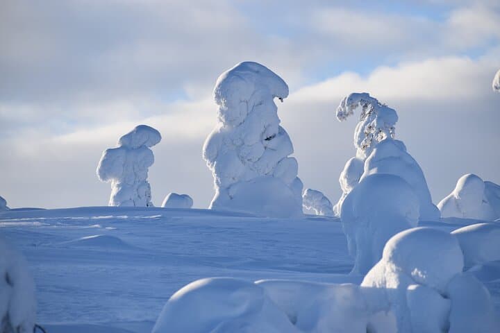 Riisitunturi National Park