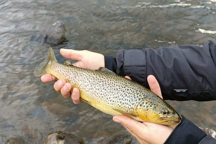 Levi: Guided Fishing Tour